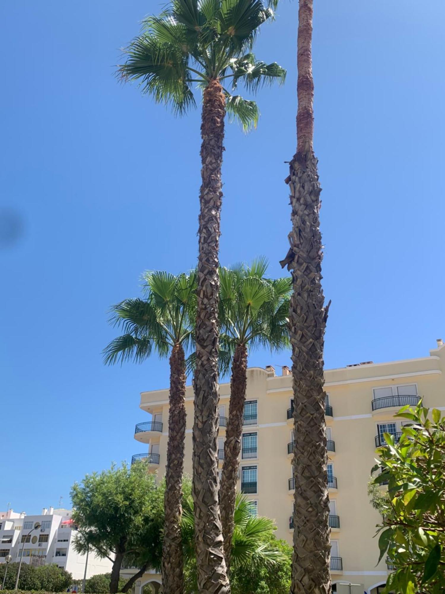 Dunas De Vilamoura Quarteira Exterior foto